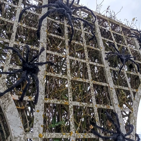 Walygator Grand Est fête Walloween