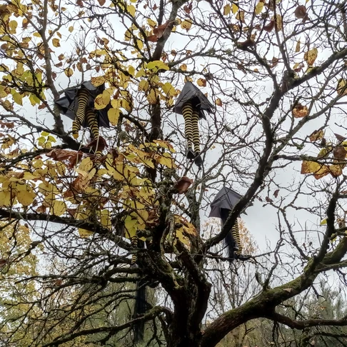 Walygator Grand Est fête Walloween