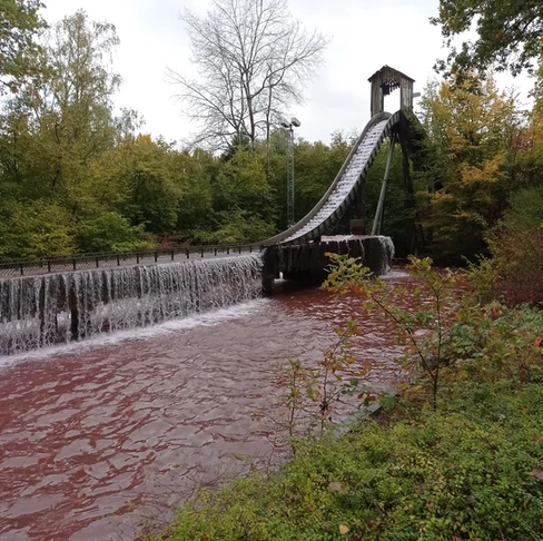Walygator Grand Est fête Walloween