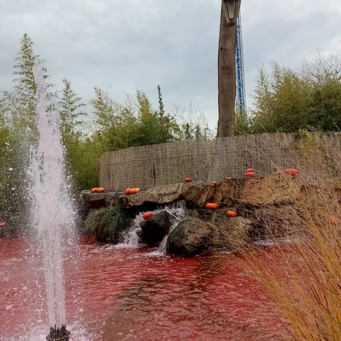 Walygator Grand Est fête Walloween