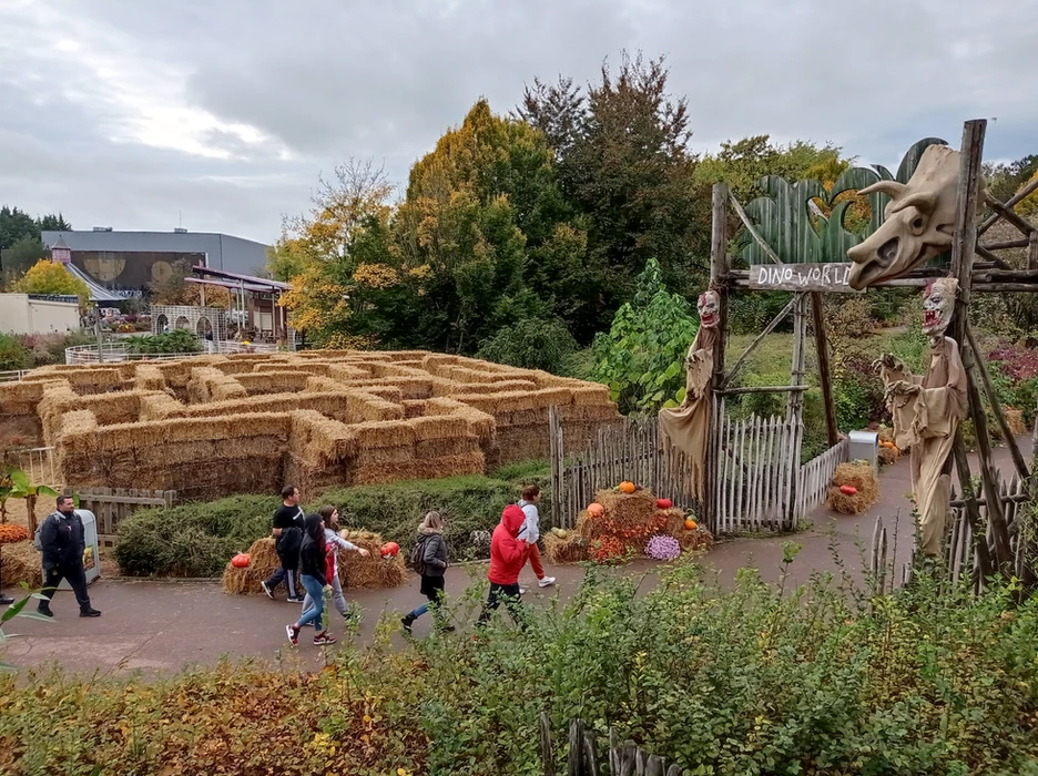 Walygator Grand Est fête Walloween