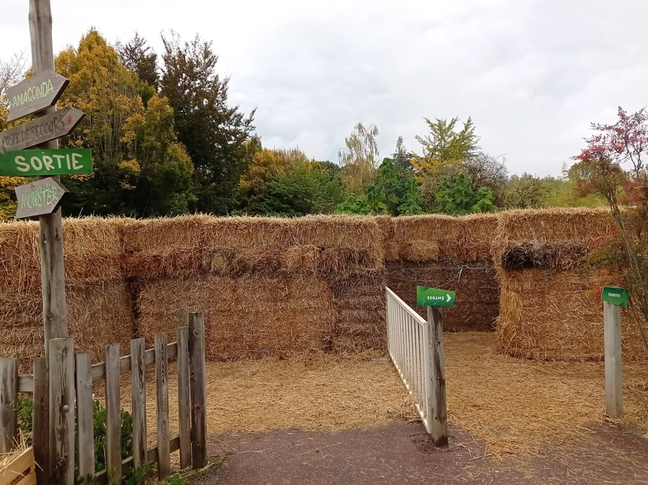 Walygator Grand Est fête Walloween