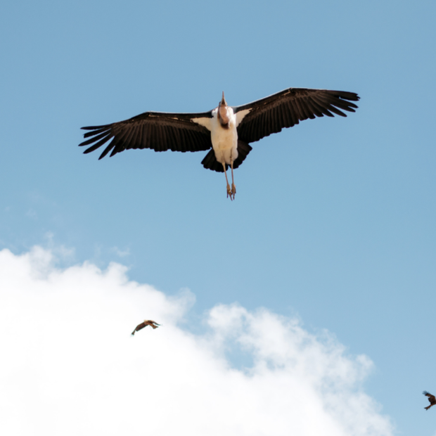 Puy du Fou Espagne Espana
