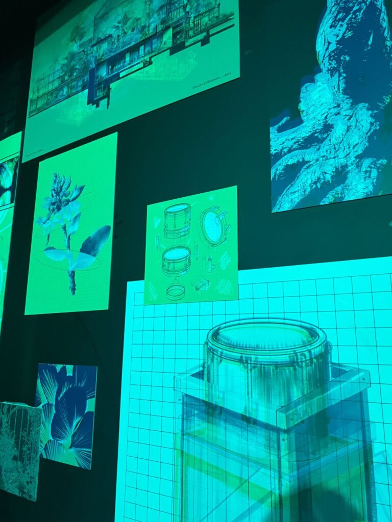 WhatsApp Image 2026 02 09 at 20.55.27 1 - Actualité des Parcs d'attractions - Parcs Actus